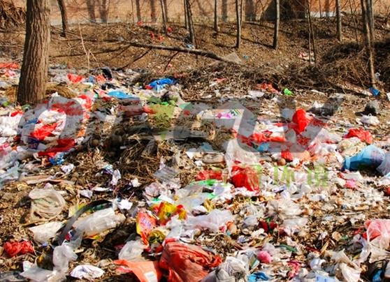 《广东省城市生活垃圾分类指引（试行）》发布严禁建筑垃圾等混入生活垃圾