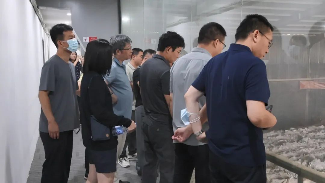 1753683966287039.jpg 1753683966287039.jpg